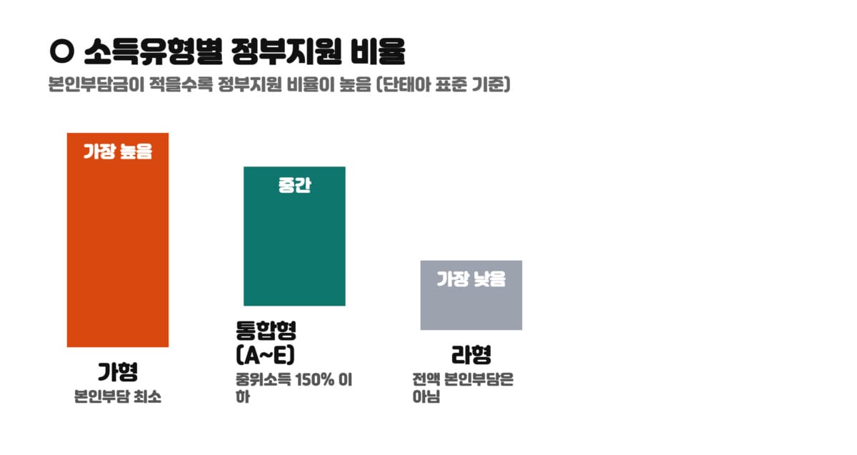 소득유형별(가형 통합형 라형) 정부지원 비율 비교 그래프